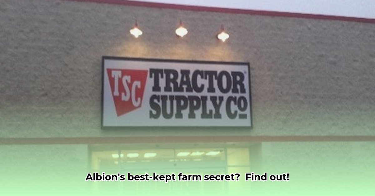 tractor-supply-in-albion-michigan